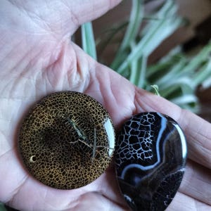 Isabelle added a photo of their purchase