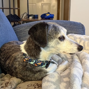 Molly added a photo of their purchase