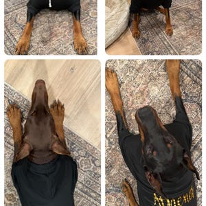 Krista added a photo of their purchase