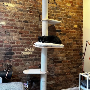 Erin added a photo of their purchase