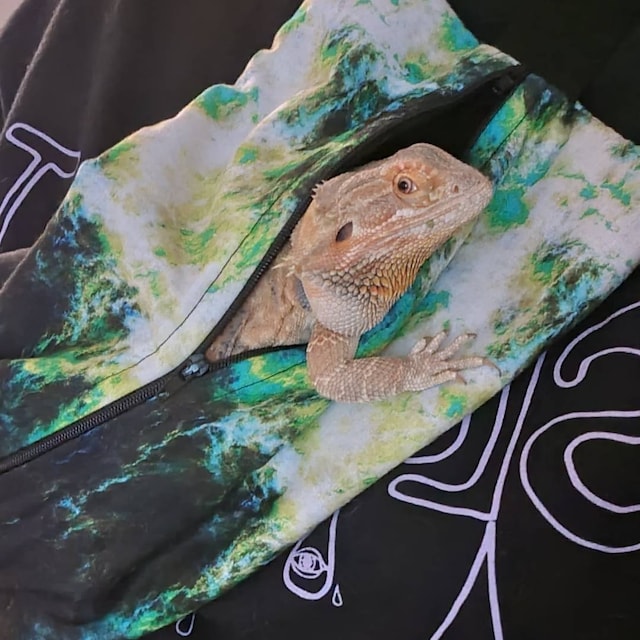 Bearded Dragon Whisperer Vintage Sunset Lizard Reptile T-Shirt - Black, 100% Cotton