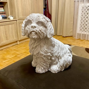 Maciej added a photo of their purchase