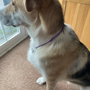 Julie added a photo of their purchase