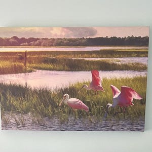 tracy ha añadido una foto de su compra