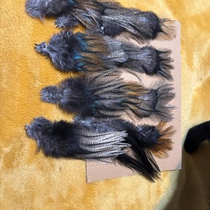 Amanda added a photo of their purchase