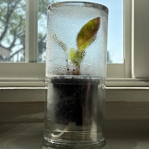 Desiree ha añadido una foto de su compra