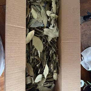 Aleksandra added a photo of their purchase