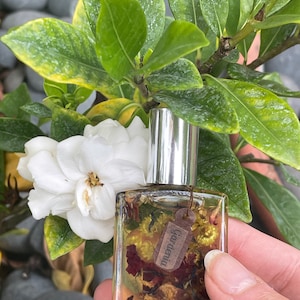 maystar added a photo of their purchase