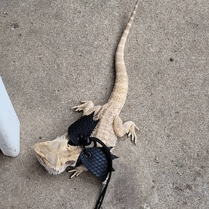 Sammy added a photo of their purchase