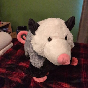 Wolf added a photo of their purchase