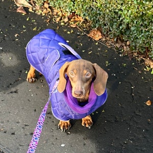 Angelique added a photo of their purchase