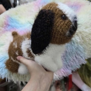 jayden added a photo of their purchase
