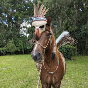 Pat adicionaram uma foto da sua compra