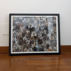 Claudio added a photo of their purchase