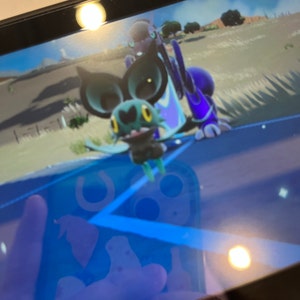 Pokemon Scarlatto E Viola - Noibat Shiny 6IV Pronto Per Battaglia - Consegna Rapida