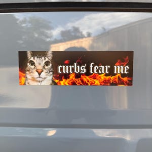 marzcat added a photo of their purchase