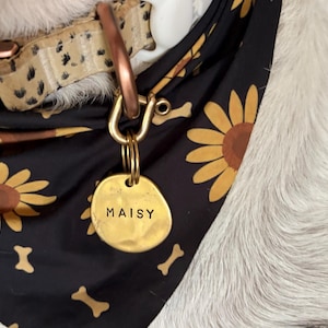 Solid Brass Tag Lock: Dog & Cat ID Tag Collar Attachment