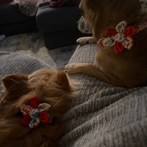 Mellisa added a photo of their purchase