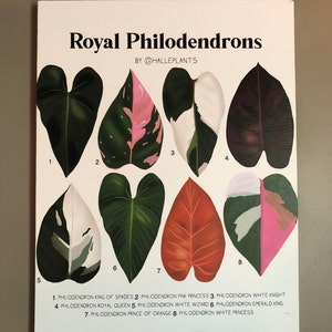 Royal Philodendron Varieties - Plant Identification Chart - Digital Download