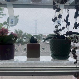 Kristen added a photo of their purchase