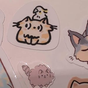 Bethany ha añadido una foto de su compra