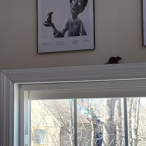 Veronica added a photo of their purchase