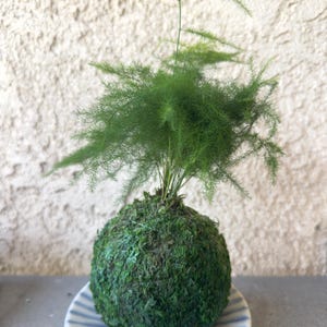 Acquirente Etsy ha aggiunto una foto del proprio acquisto