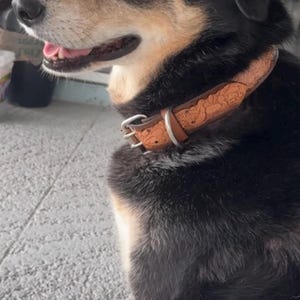 kendal adicionaram uma foto da sua compra