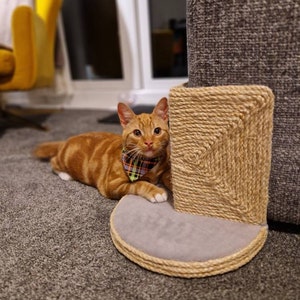Callum added a photo of their purchase