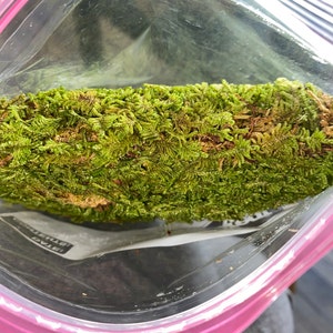 Michael added a photo of their purchase