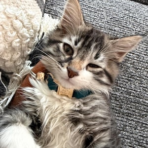 Aundrea a ajouté une photo de son achat