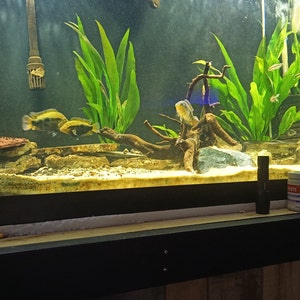 Martin added a photo of their purchase
