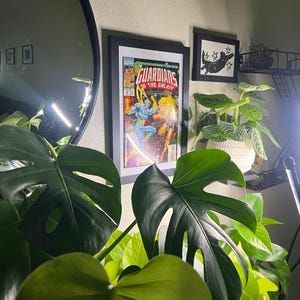 Dezree added a photo of their purchase