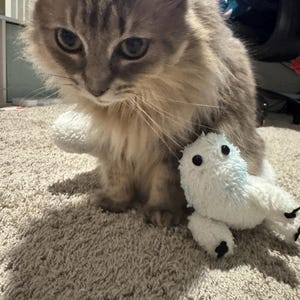 Sierra added a photo of their purchase