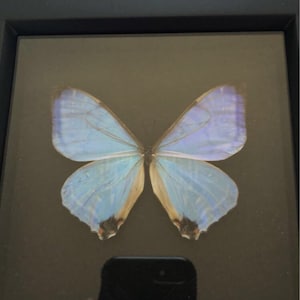 Heather added a photo of their purchase
