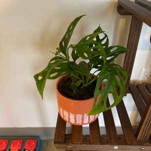 Seetha added a photo of their purchase
