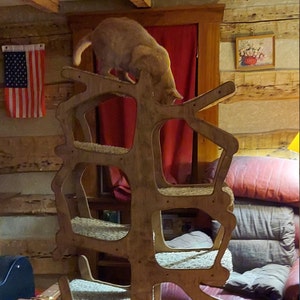 Nancy added a photo of their purchase