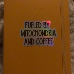 Alexis added a photo of their purchase