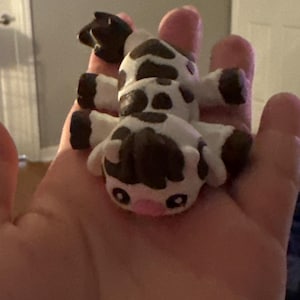kaitlyn added a photo of their purchase