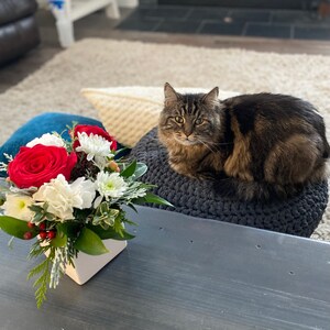 Kari added a photo of their purchase