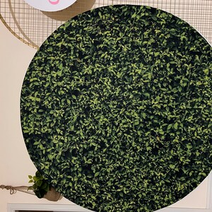 Daisy added a photo of their purchase