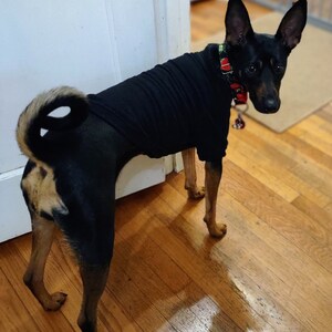 Maggie added a photo of their purchase