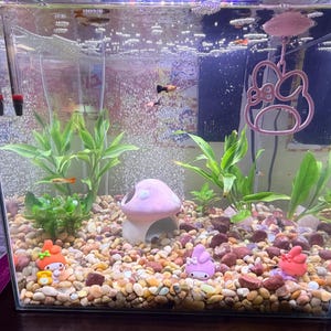 Angela added a photo of their purchase