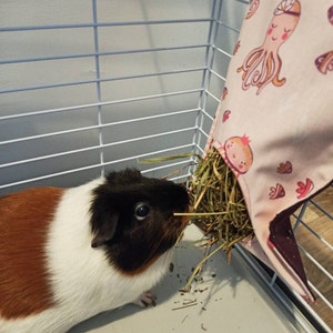 Perrine added a photo of their purchase