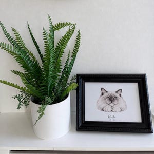 Ellen added a photo of their purchase