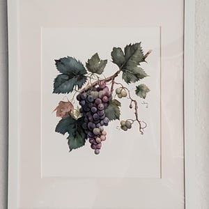 Z added a photo of their purchase