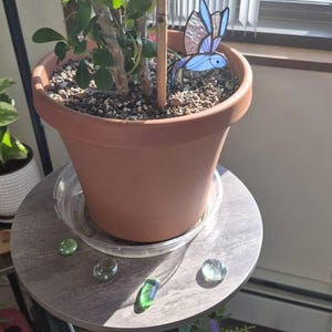 Laraine added a photo of their purchase