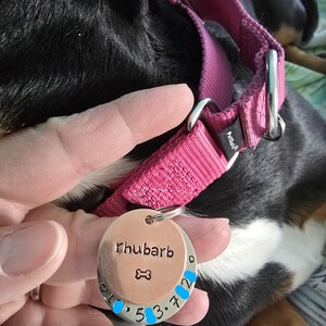 amy added a photo of their purchase