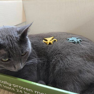 Gabrielle added a photo of their purchase