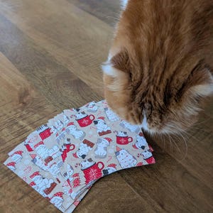 Holly added a photo of their purchase
